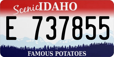 ID license plate E737855