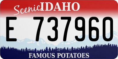ID license plate E737960