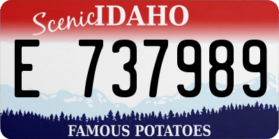 ID license plate E737989