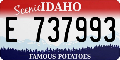 ID license plate E737993