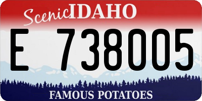 ID license plate E738005