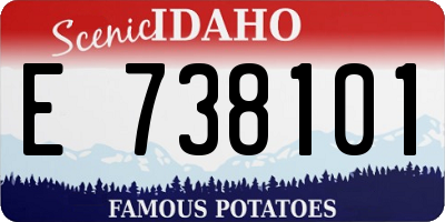 ID license plate E738101