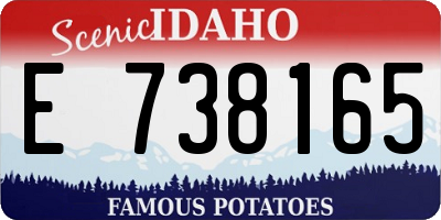 ID license plate E738165
