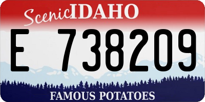 ID license plate E738209