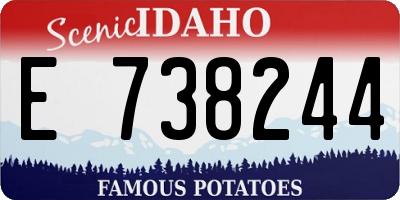 ID license plate E738244