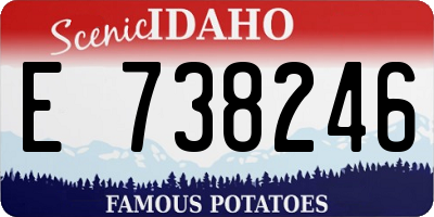 ID license plate E738246