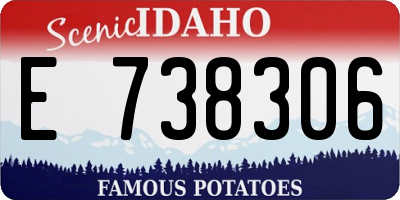 ID license plate E738306