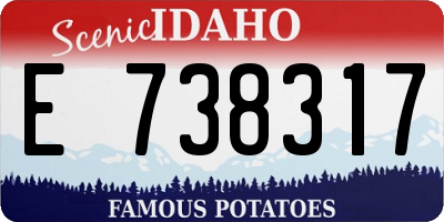 ID license plate E738317