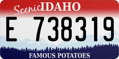 ID license plate E738319