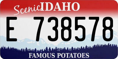 ID license plate E738578