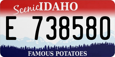 ID license plate E738580