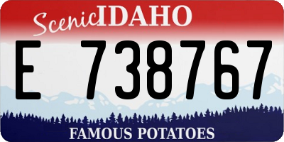 ID license plate E738767