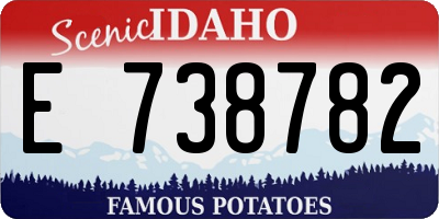 ID license plate E738782