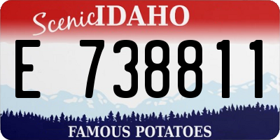 ID license plate E738811