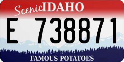 ID license plate E738871