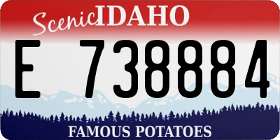 ID license plate E738884