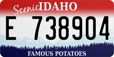 ID license plate E738904