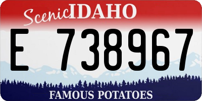 ID license plate E738967
