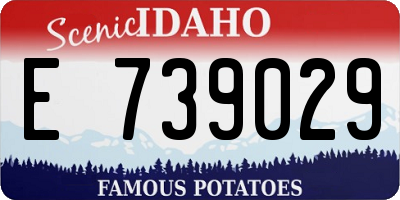 ID license plate E739029