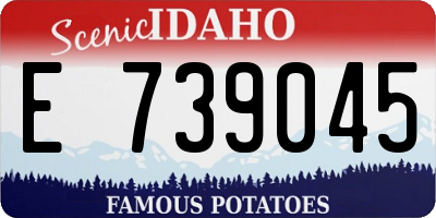 ID license plate E739045