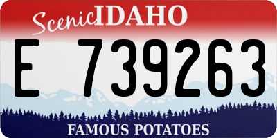 ID license plate E739263
