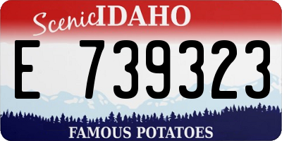 ID license plate E739323