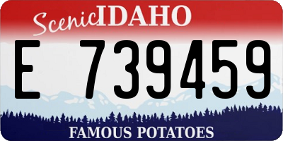 ID license plate E739459