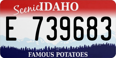 ID license plate E739683
