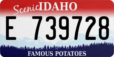 ID license plate E739728