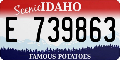 ID license plate E739863