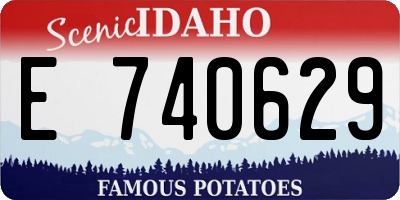 ID license plate E740629
