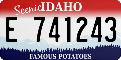 ID license plate E741243