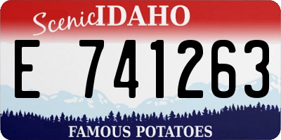 ID license plate E741263