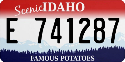 ID license plate E741287