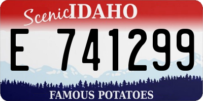 ID license plate E741299
