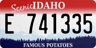 ID license plate E741335