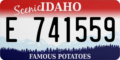 ID license plate E741559