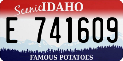 ID license plate E741609
