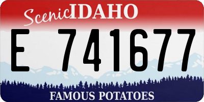 ID license plate E741677