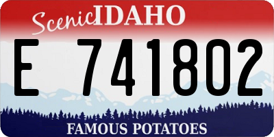 ID license plate E741802