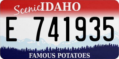 ID license plate E741935