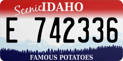 ID license plate E742336