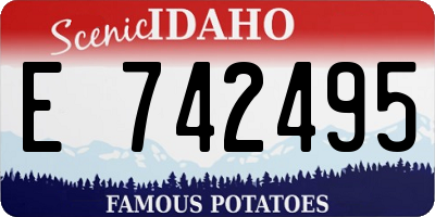 ID license plate E742495