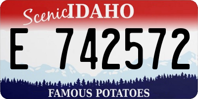 ID license plate E742572