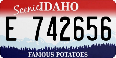 ID license plate E742656
