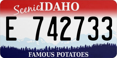 ID license plate E742733