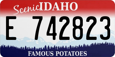 ID license plate E742823