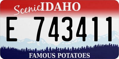 ID license plate E743411