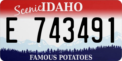 ID license plate E743491