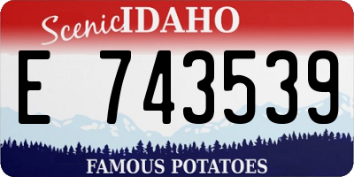 ID license plate E743539
